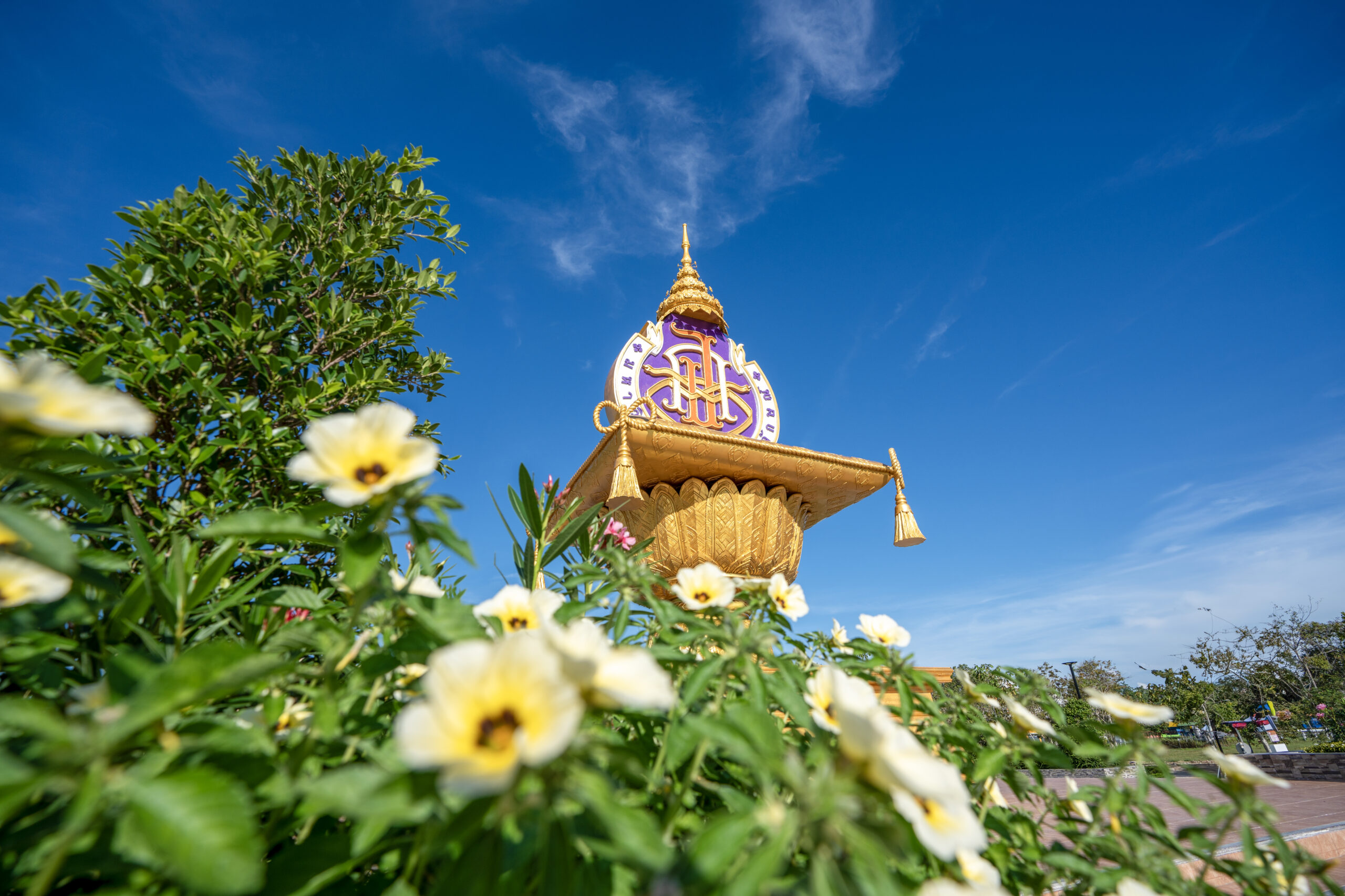 กฎหมายวิชาการ