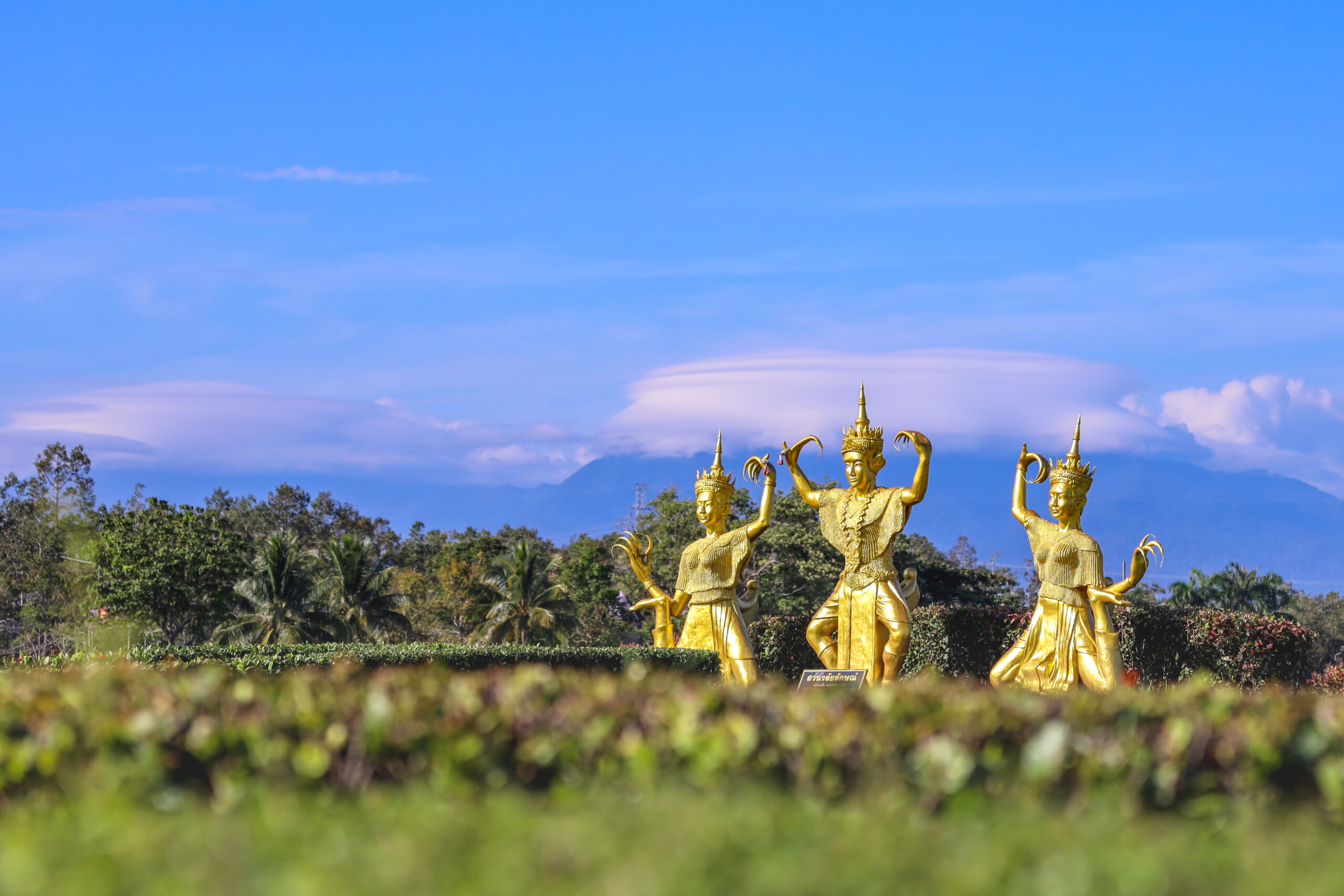 กฎหมายสอบสวนและวินัย